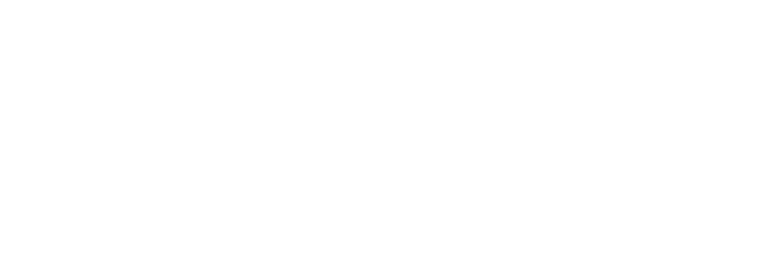 Platinum Solution Partner enterprise white